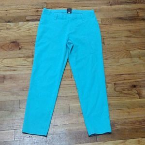 Faded Glory Women's Jeggings sz. XL